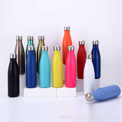 Stainless Steel Water Bottle